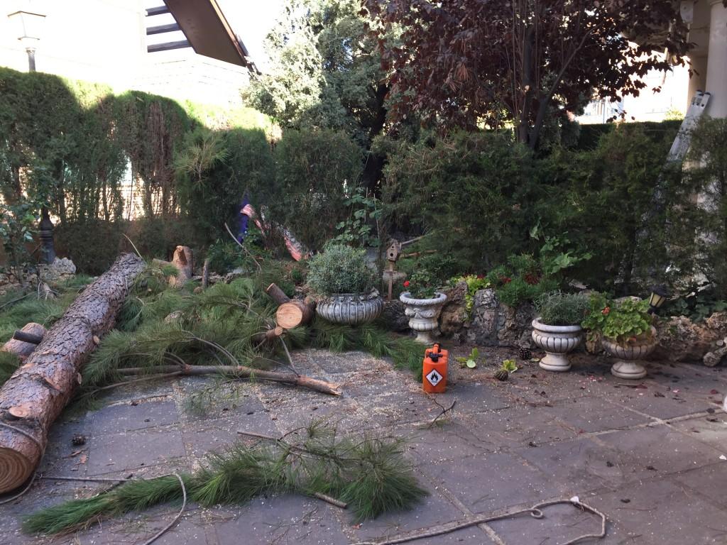 poda-altura-josgardener- (7)