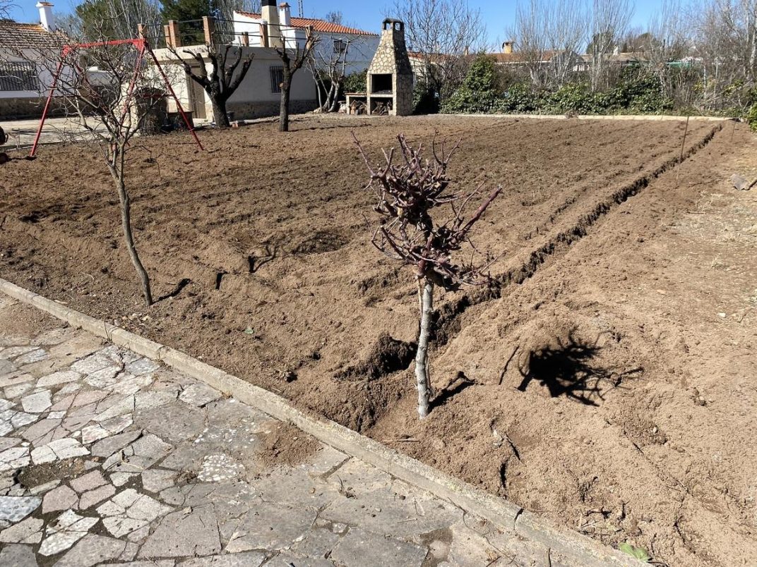 Antes