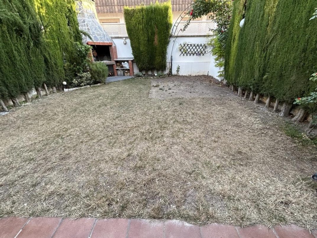 Antes