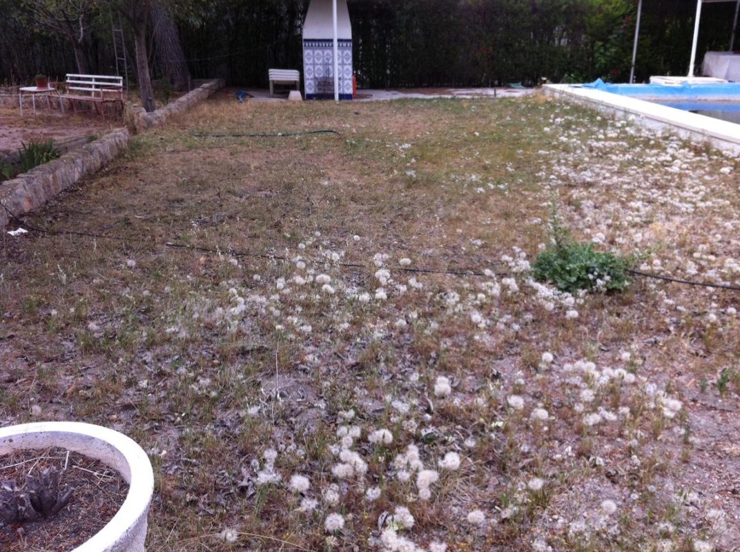 Antes